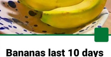 WhatsApp Image 2025 10 06 at 11.45.23 f7f46669