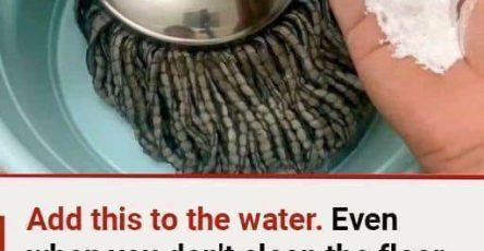 WhatsApp Image 2025 10 06 at 11.45.23 f7f46669